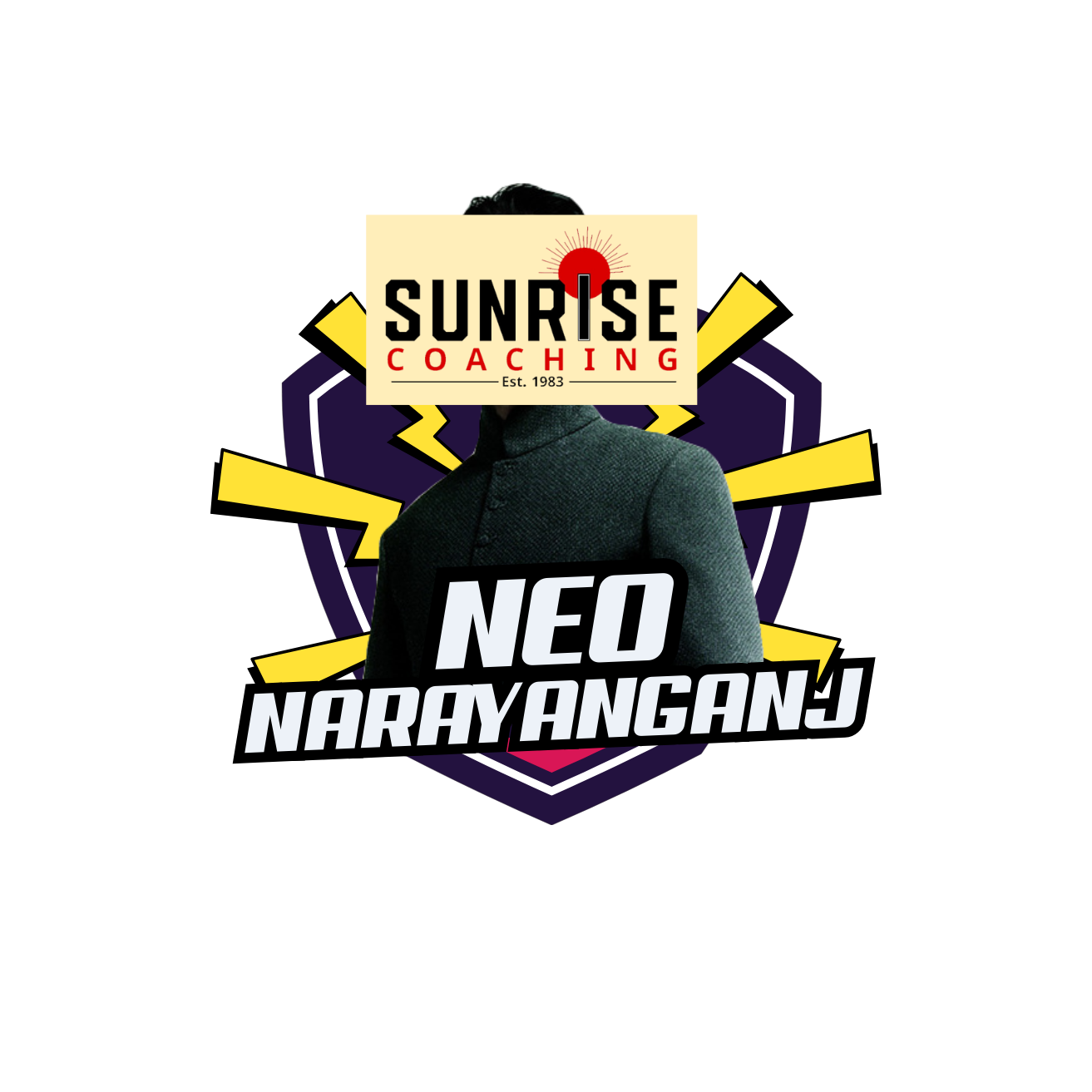 Narayanganj logo